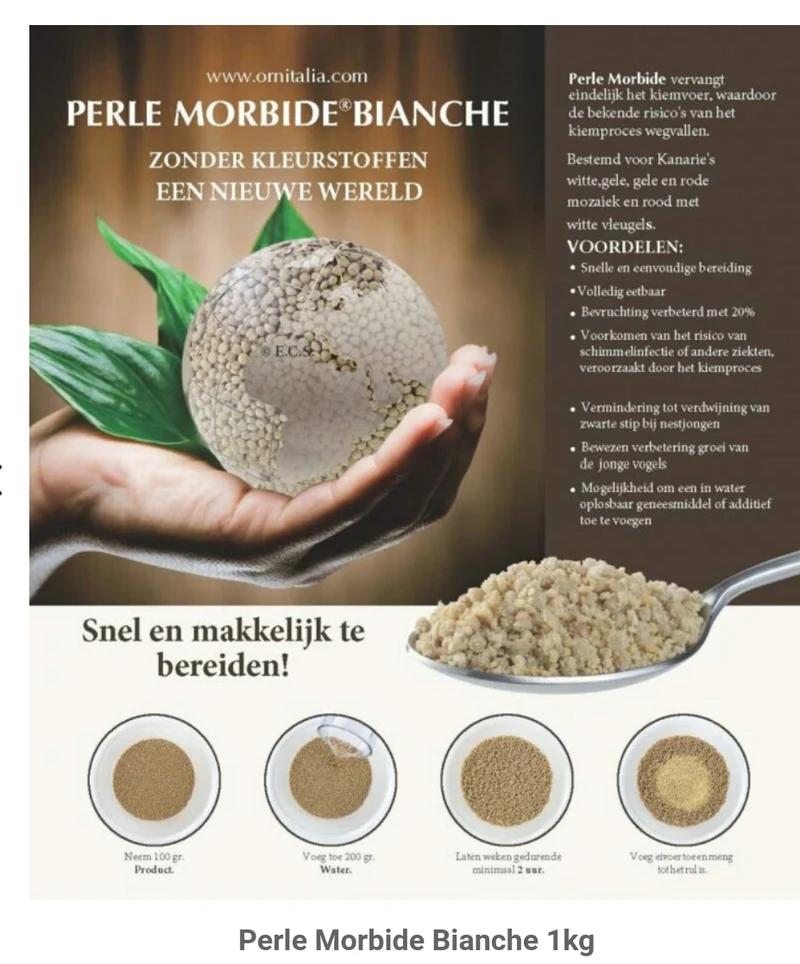 Perla Morbid White