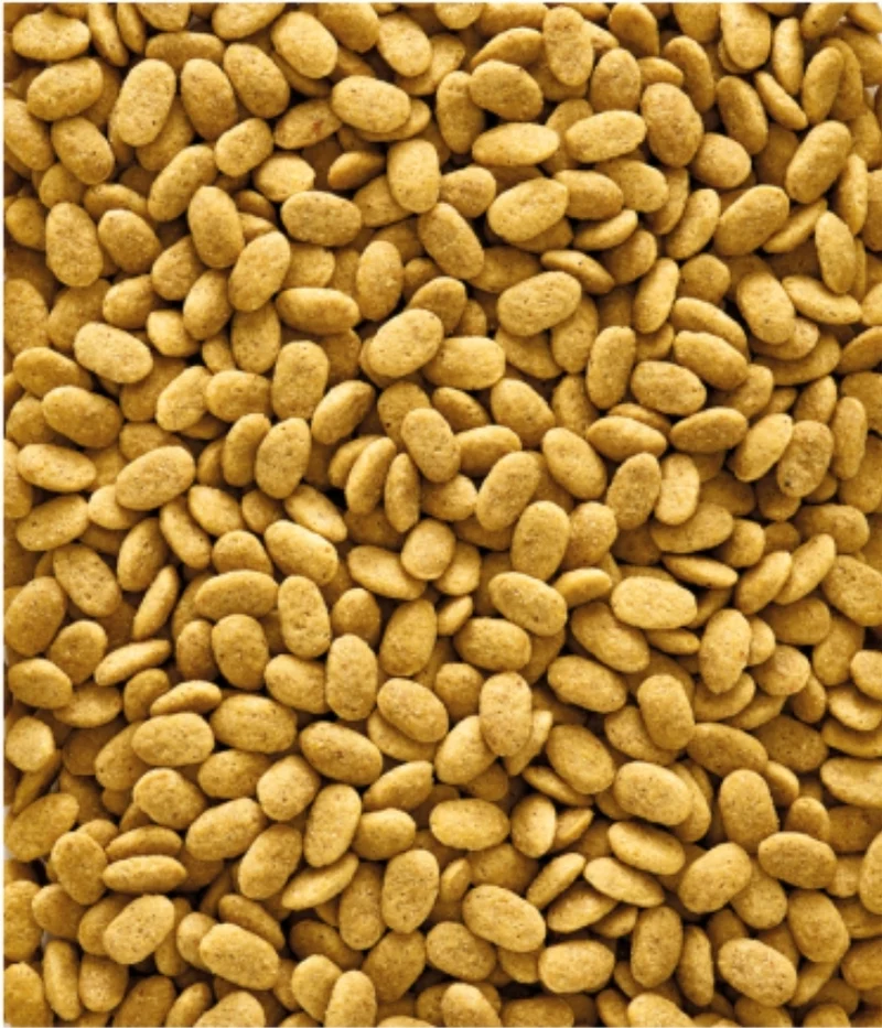 Nutribird P15 original 10kg - Pellets extrusionados - Alimento de mantenimiento para loros