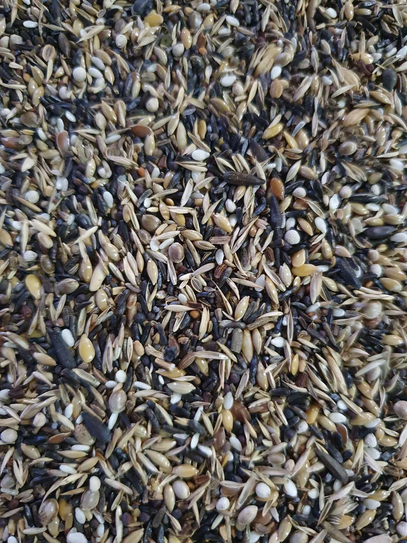 Jilgueros extra 15kg (20% semillas BLATTNER) - Versele Laga