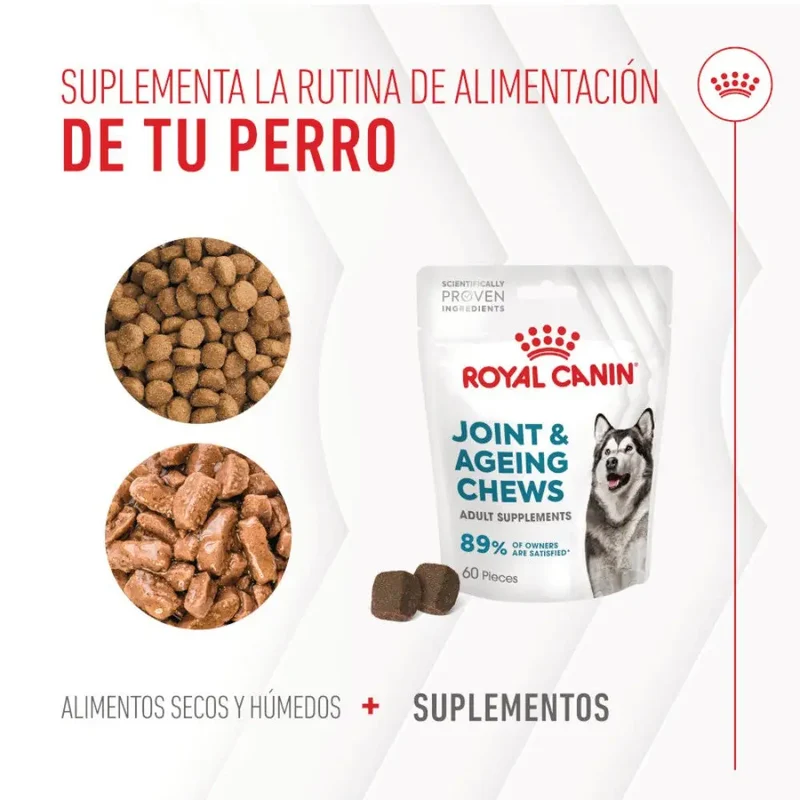 Royal Canin Adult Joint & Ageing 240 g Suplemento para Perros Adultos