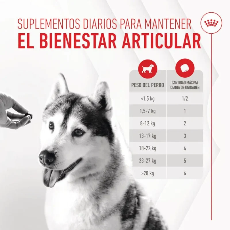 Royal Canin Adult Joint & Ageing 240 g Suplemento para Perros Adultos