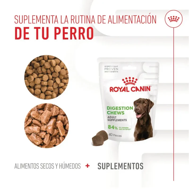 Royal Canin Digestive Support Chews 160 g Suplemento para Perros Adultos