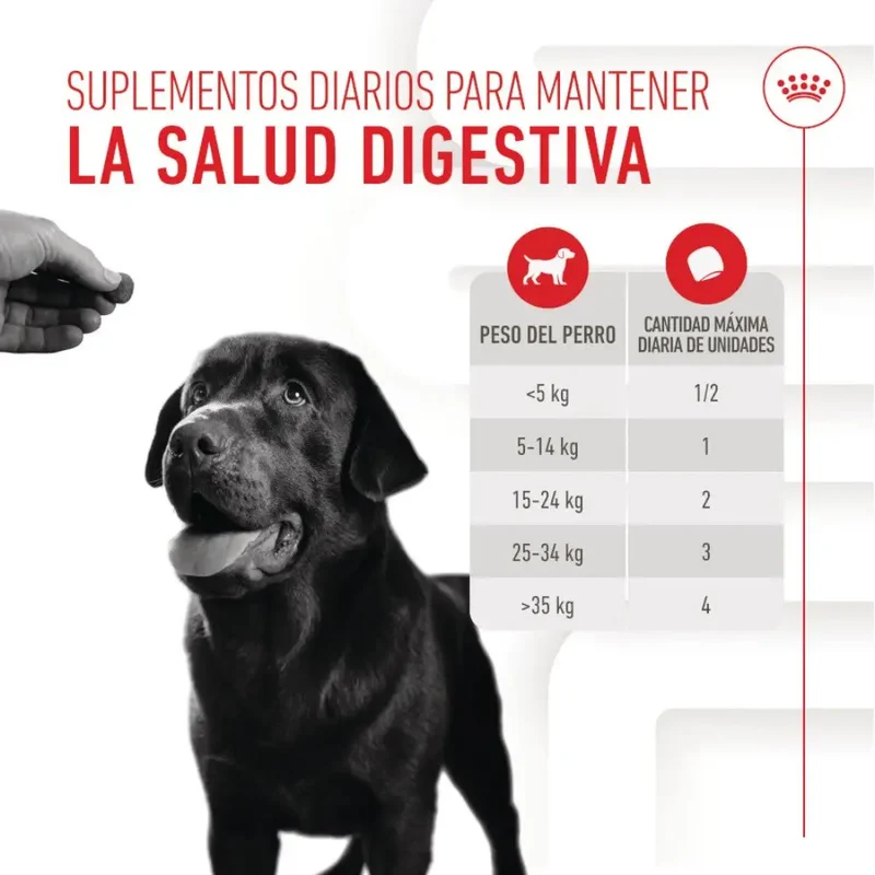 Royal Canin Digestive Support Chews 160 g Suplemento para Perros Adultos