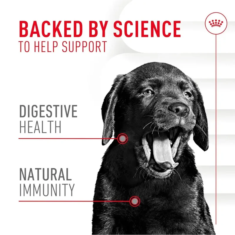 Royal Canin Immune & Digestion Support Chews Puppy 100 g Snack para Cachorros