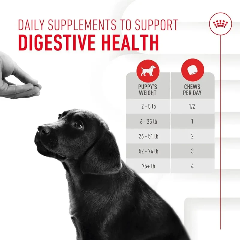 Royal Canin Immune & Digestion Support Chews Puppy 100 g Snack para Cachorros