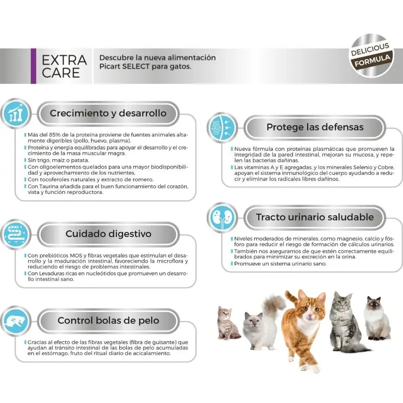 Picart Select Cat Kitten Pollo y Arroz 400 g
