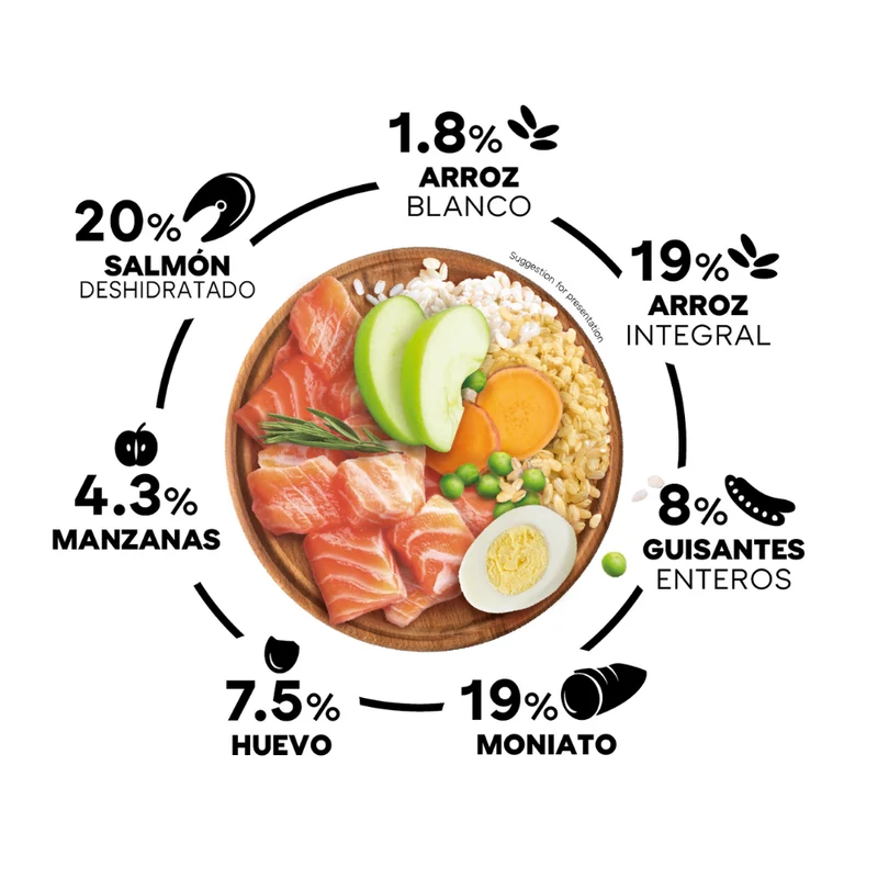 Picart Select Adult Mini Extra Salmón & Rice Pienso para Perros