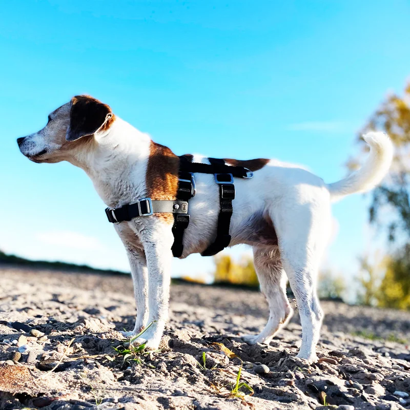 Anti-Stress-Geschirr STURMFREI® Saver para pequeños bis mittlere Hunde