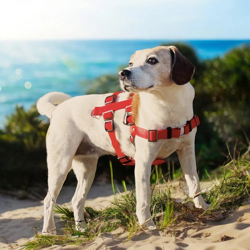 Anti-Stress-Geschirr STURMFREI® Saver para pequeños bis mittlere Hunde