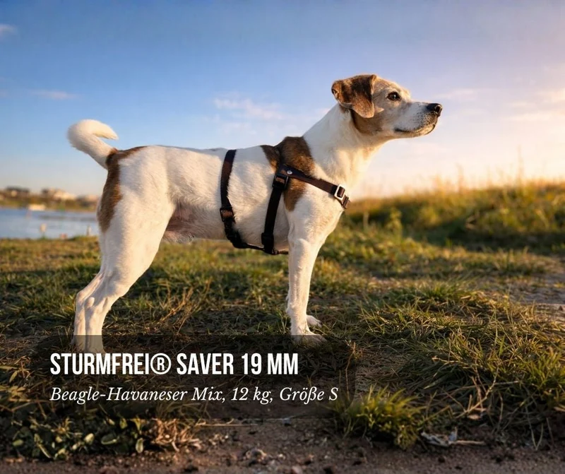 Anti-Stress-Geschirr STURMFREI® Saver para pequeños bis mittlere Hunde