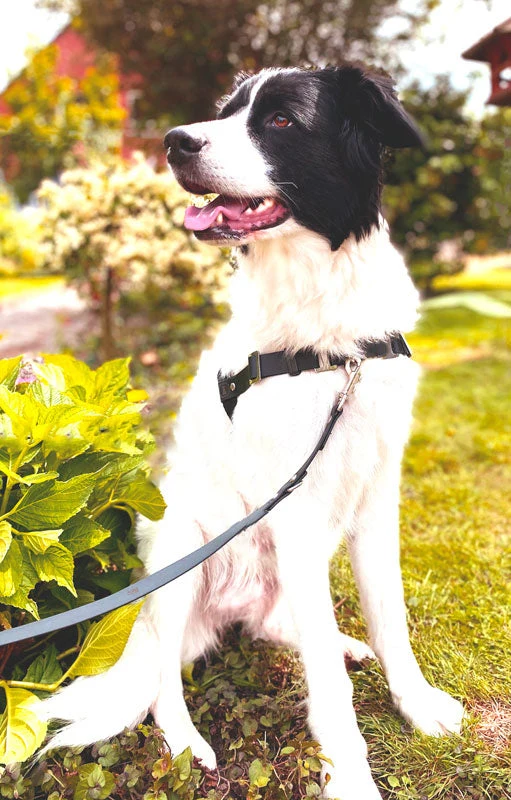 Anti-Stress-Geschirr STURMFREI® Saver para pequeños y grandes perros