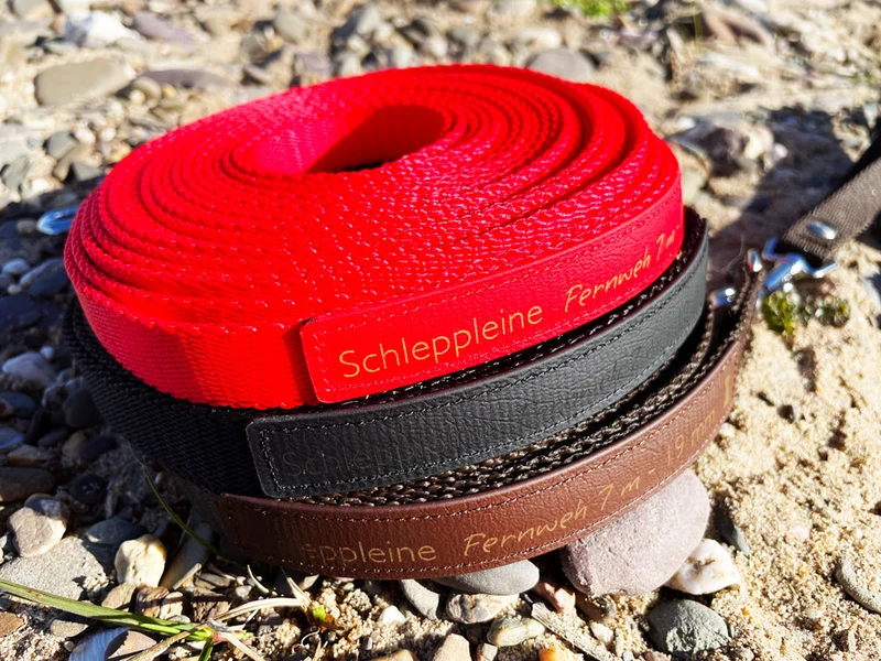 Schleppleine FERNWEH aus BioThane®/POP - Banda