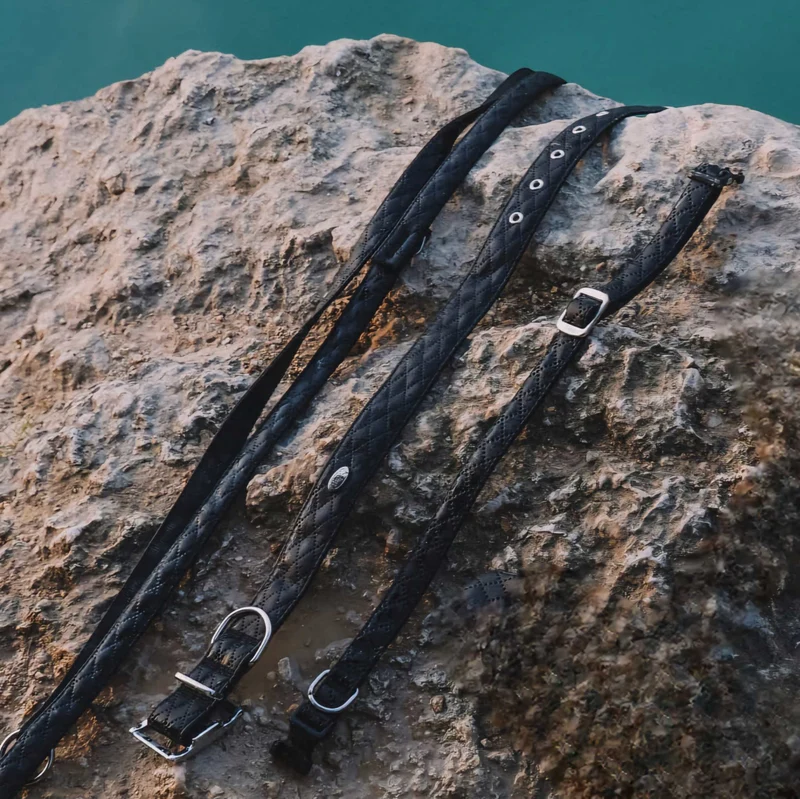 Halsband Schwarz Aus Nylon Längenverstellbar Im Rautendesign