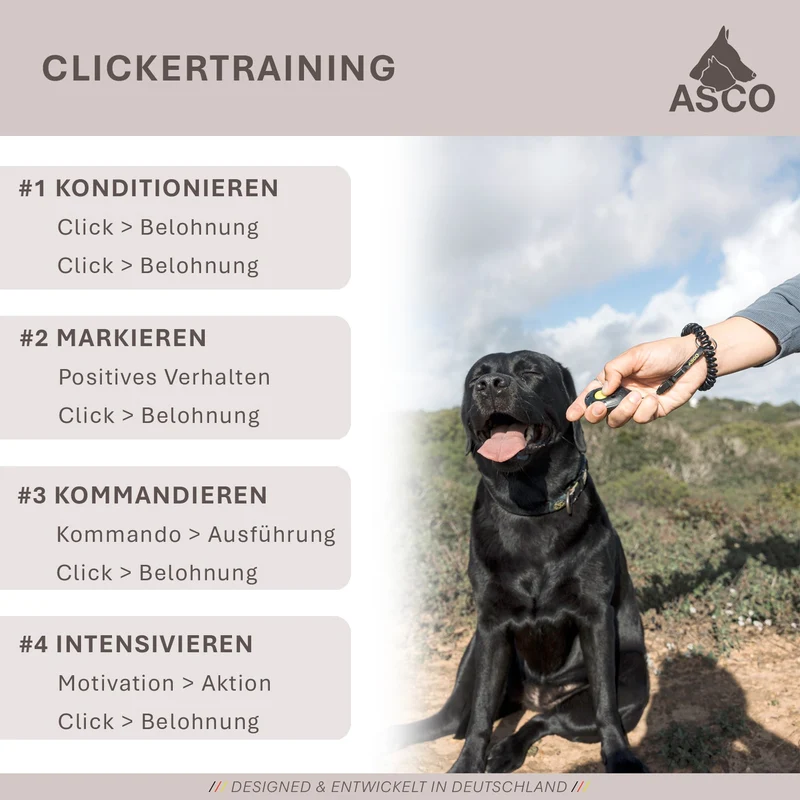 ASCO ClickStick - Target Stick con abnehmbarem Premium Clicker - Target Stab para perros Katzen Clickertraining - Targetstick ausziehbar mit extra Klicker - Targetstab para Target-Training