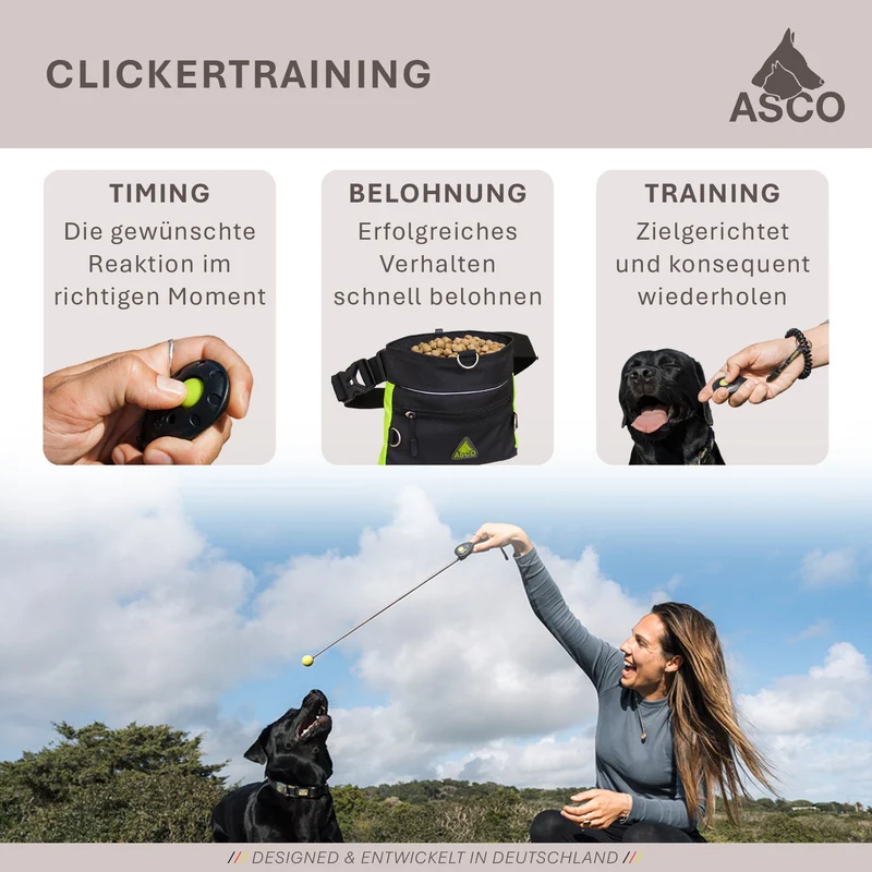 ASCO ClickStick - Target Stick con abnehmbarem Premium Clicker - Target Stab para perros Katzen Clickertraining - Targetstick ausziehbar mit extra Klicker - Targetstab para Target-Training