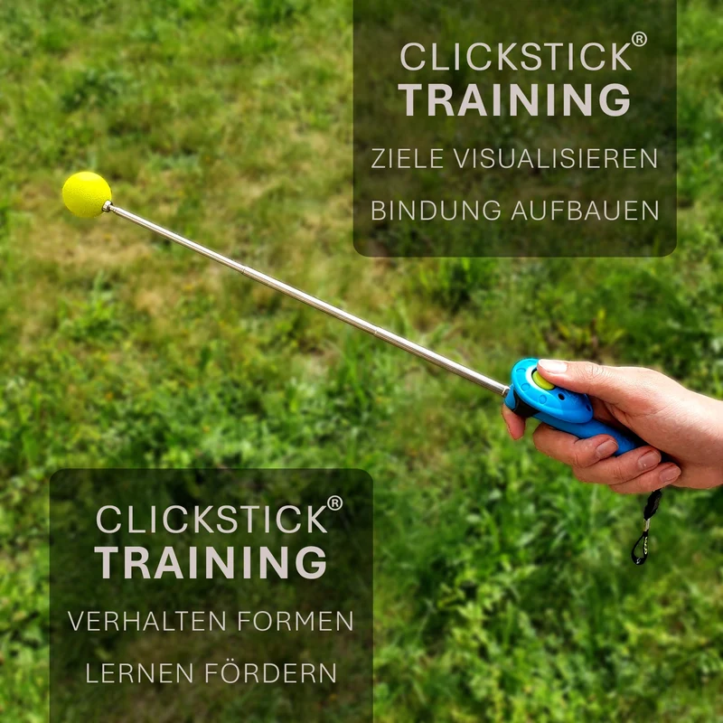 ASCO ClickStick - Target Stick con abnehmbarem Premium Clicker - Target Stab para perros Katzen Clickertraining - Targetstick ausziehbar mit extra Klicker - Targetstab para Target-Training