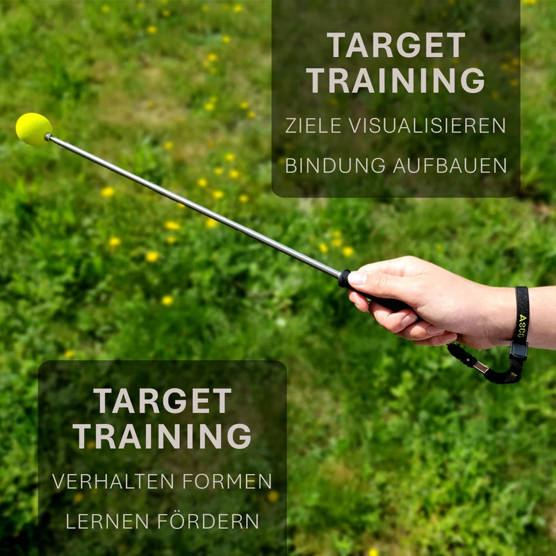 ASCO Target Stick - Target Stab für Hunde Katzen Targettraining - Targetstick ausziehbar mit Softball - Edelstahl Targetstab mit Teleskopfunktion