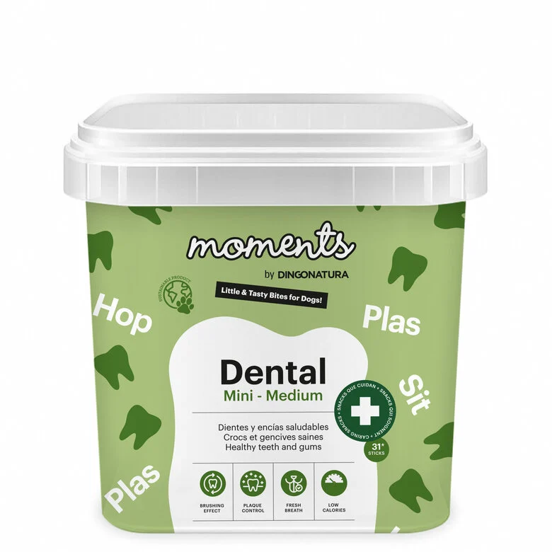 Cubo de Moments Dental Mini-Medium