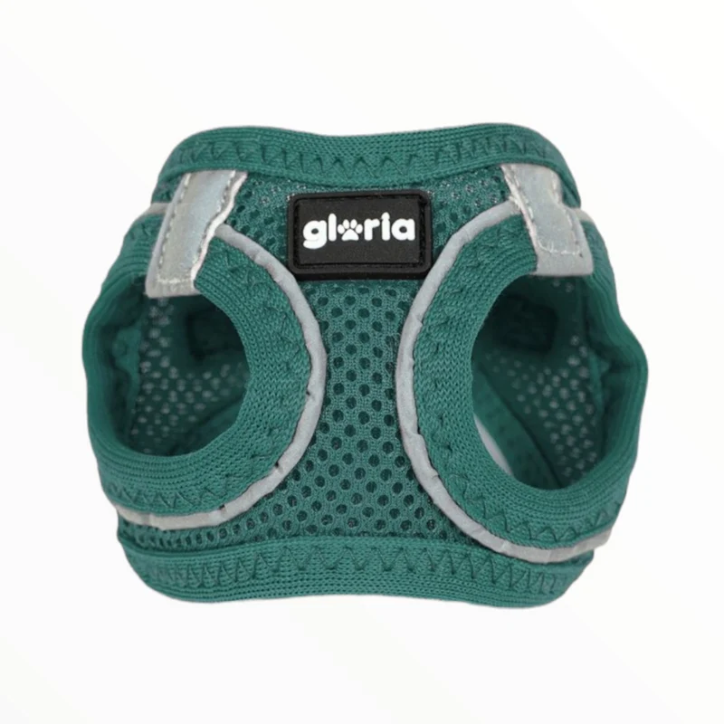Arnés Air Mesh Star Gloria para Perros — Transpirable y Ligero