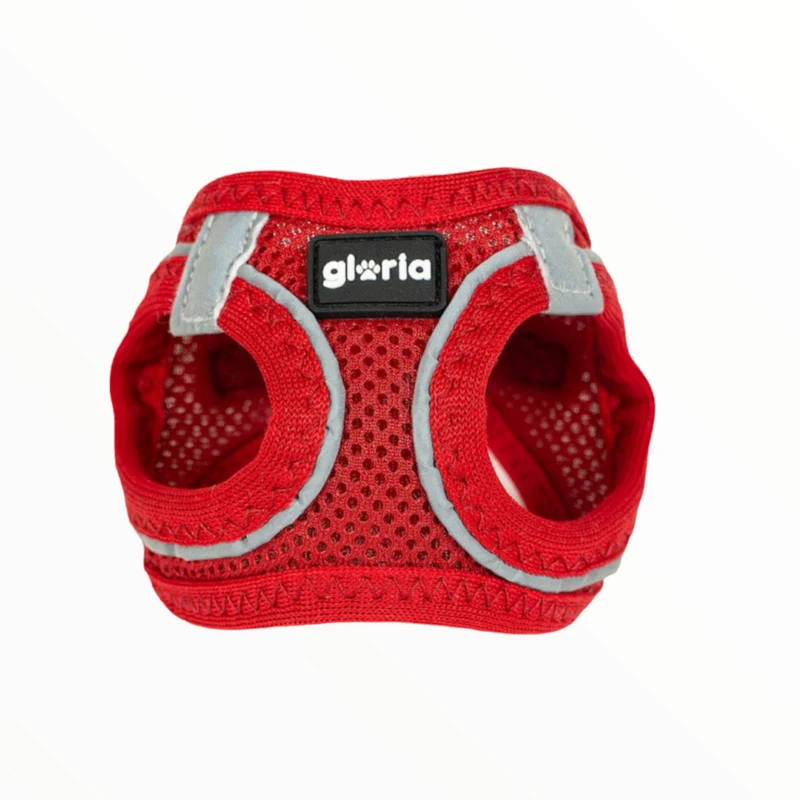 Arnés Air Mesh Star Gloria para Perros — Transpirable y Ligero