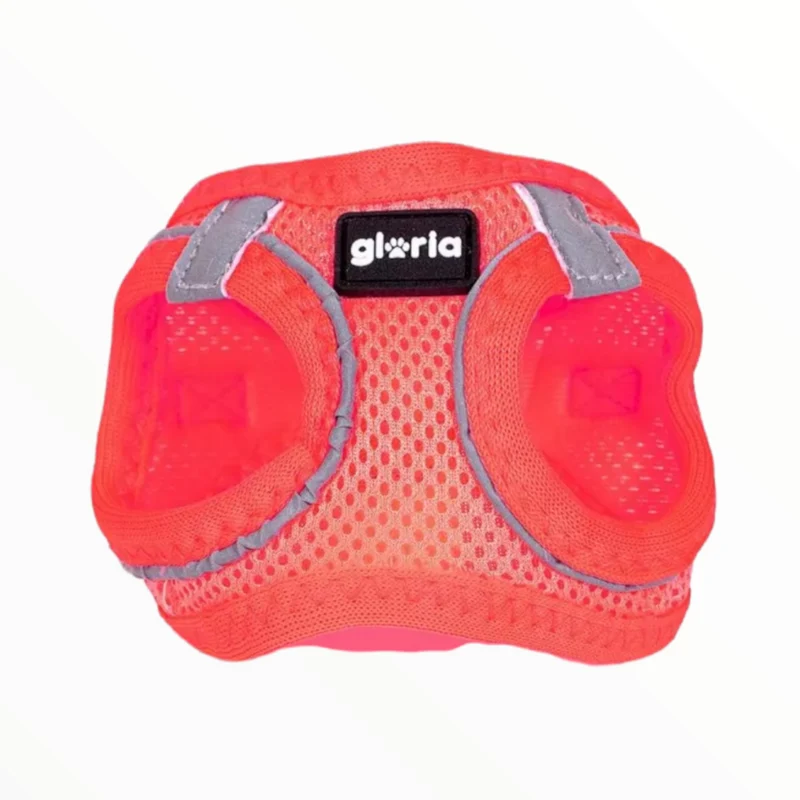 Arnés Air Mesh Star Gloria para Perros — Transpirable y Ligero