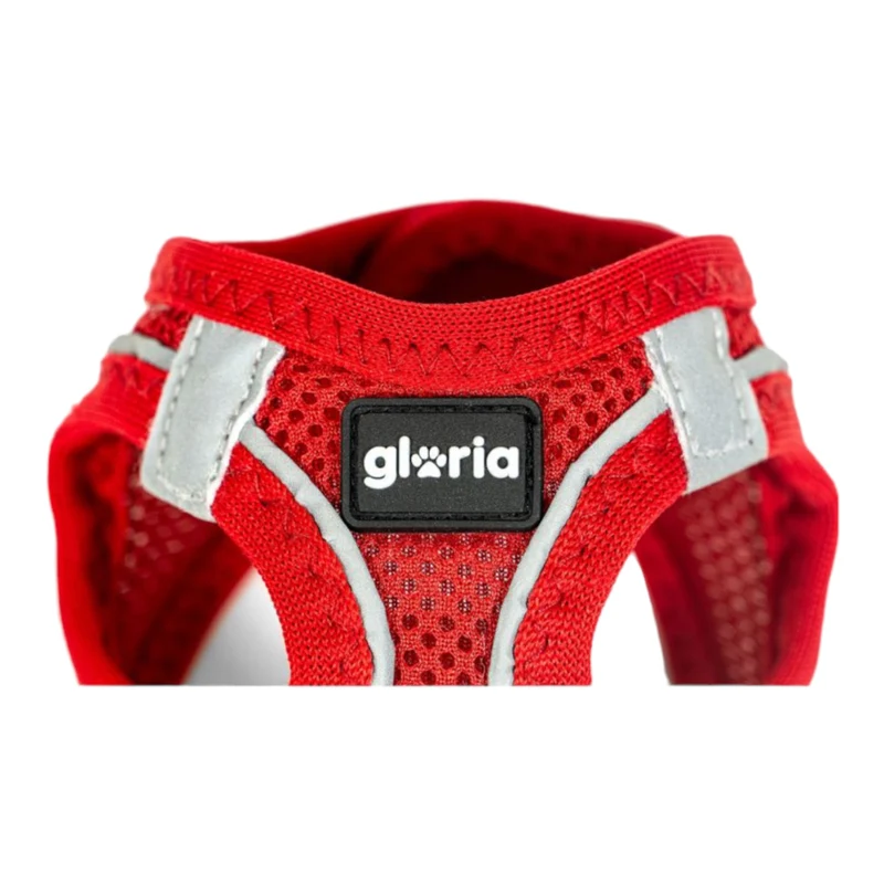 Arnés Air Mesh Star Gloria para Perros — Transpirable y Ligero