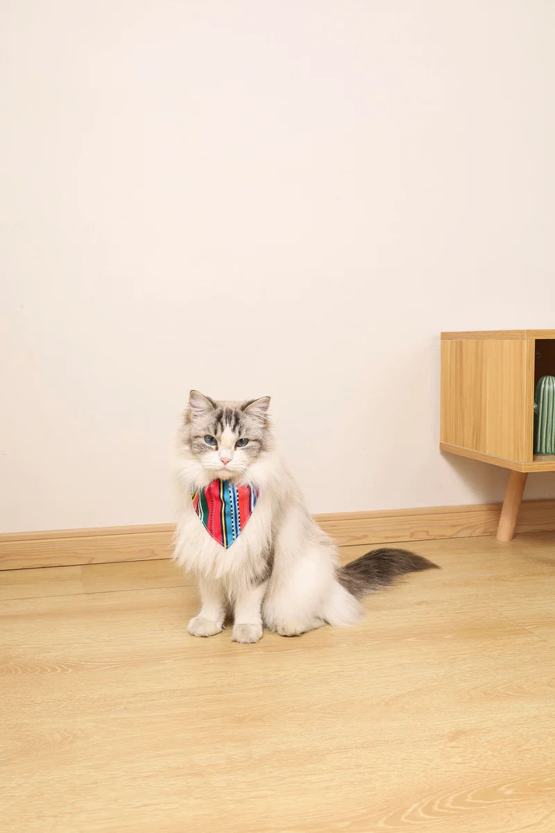 URBAN STYLE Jazz Stripes Bandana Collar