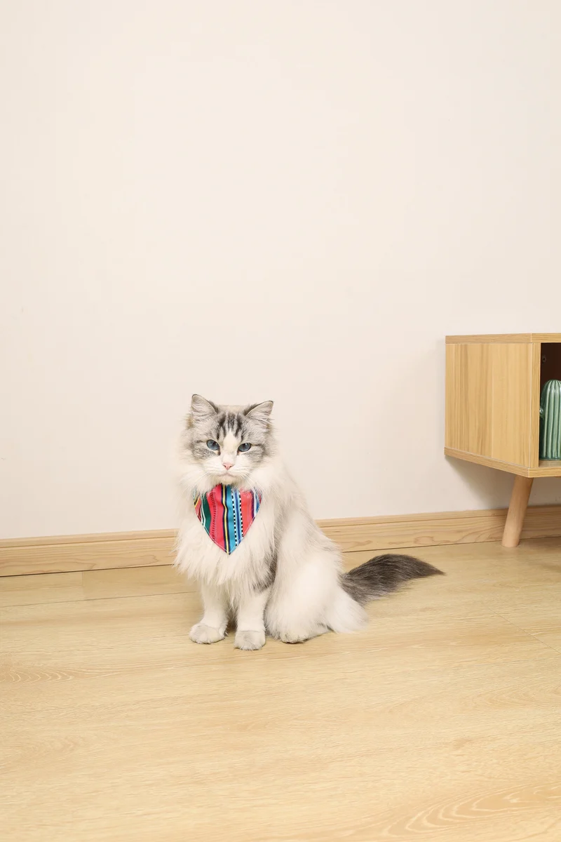 URBAN STYLE Jazz Stripes Bandana Collar