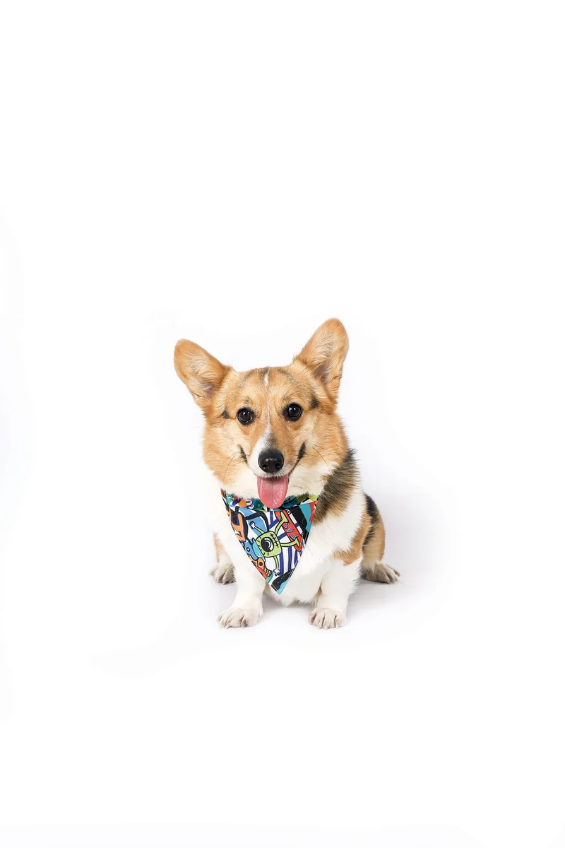 URBAN STYLE Freestyle Bandana