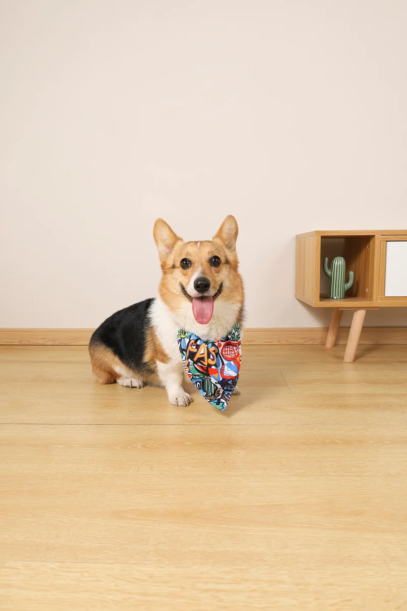 URBAN STYLE Freestyle Bandana