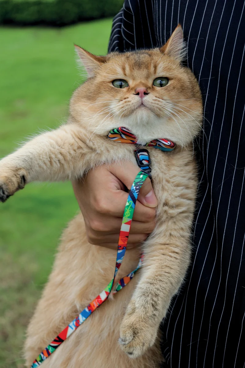 URBAN STYLE Freestyle Box Tie