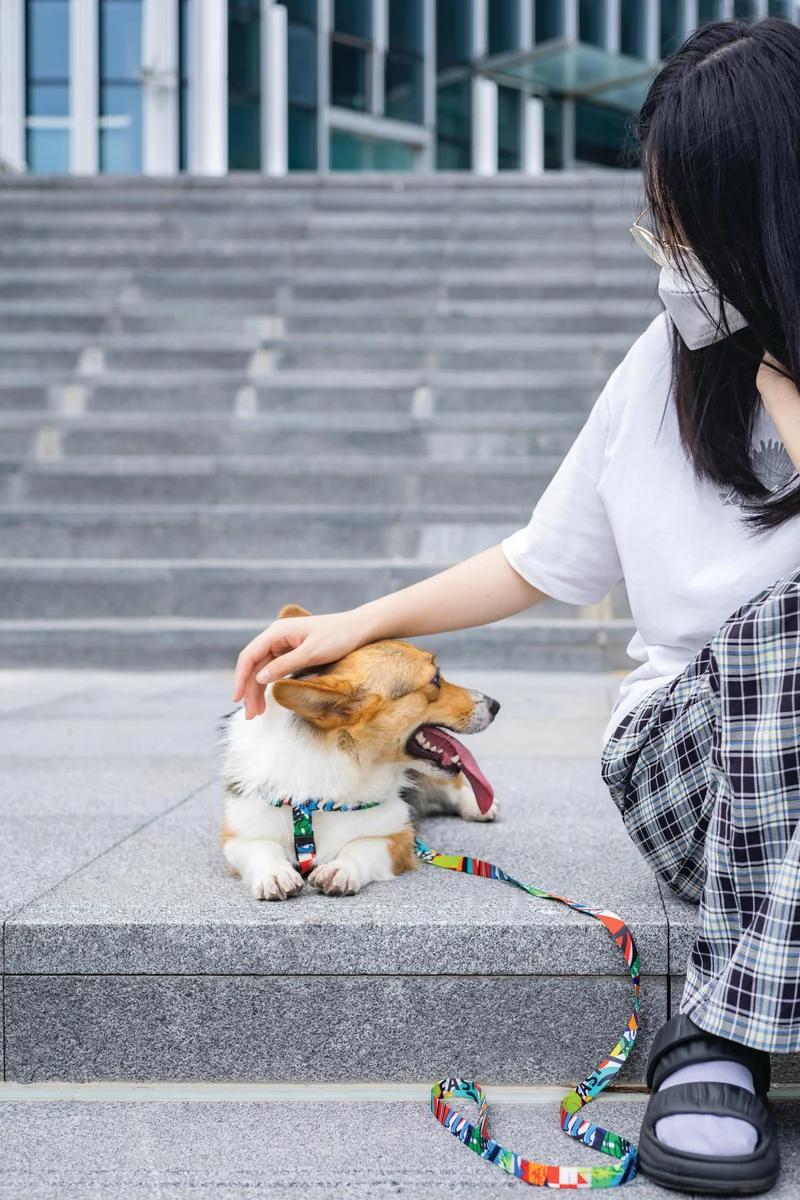 URBAN STYLE Freestyle Leash