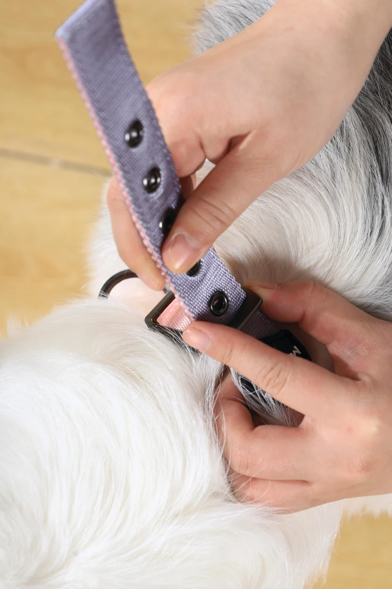 GENTLE DOG Padded Collar Pink
