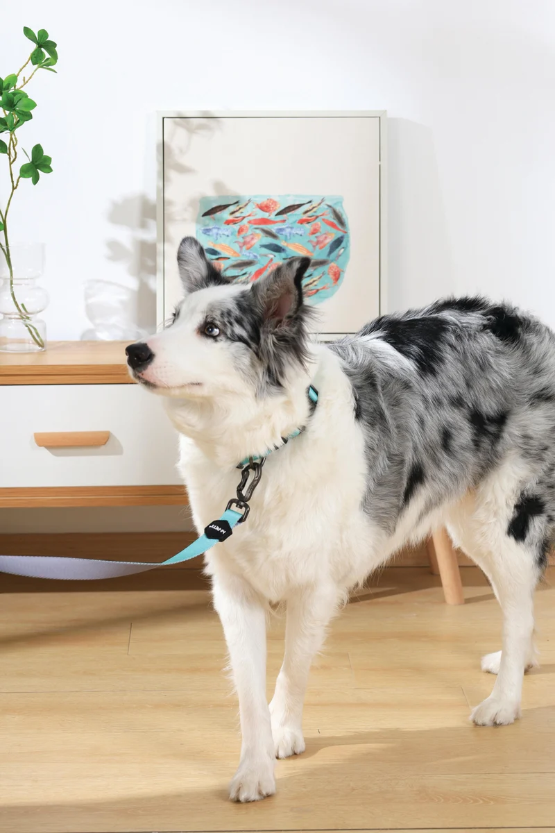 GENTLE DOG Leash Green