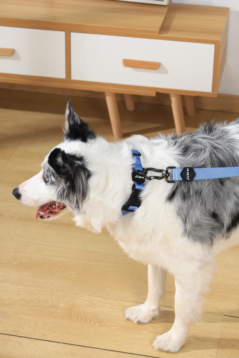 GENTLE DOG Leash Blue