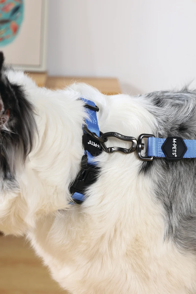 GENTLE DOG Leash Blue