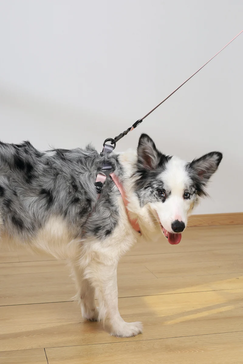 GENTLE DOG Triangle Harness Pink