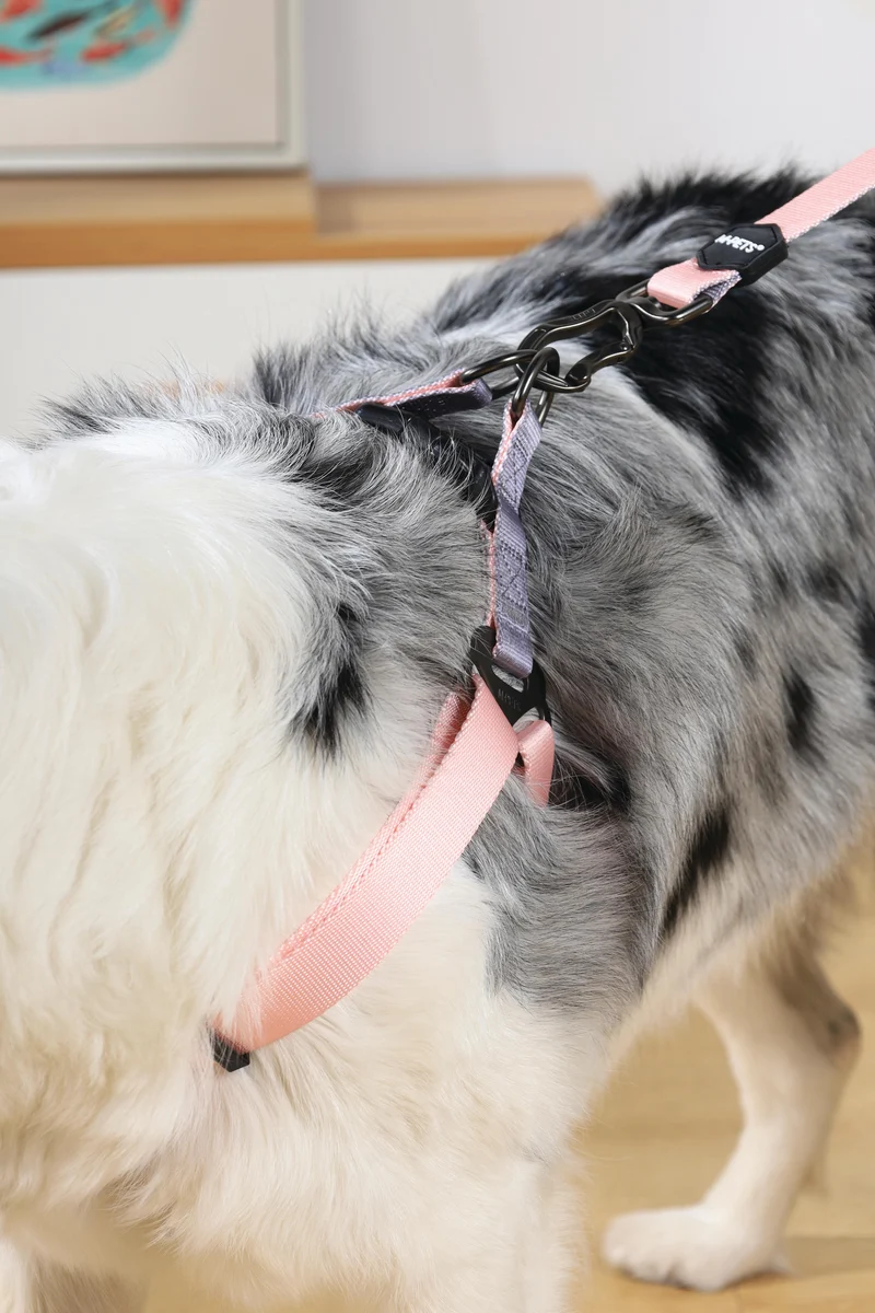 GENTLE DOG Triangle Harness Pink