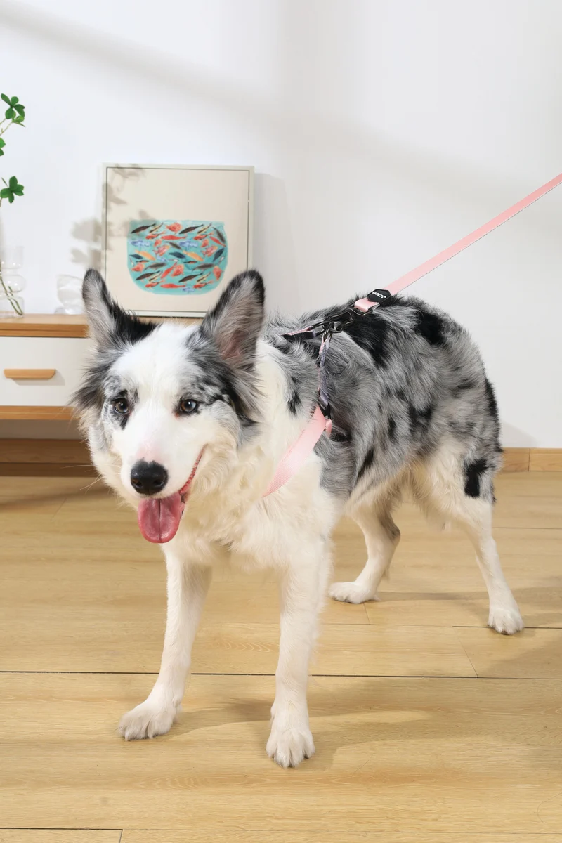 GENTLE DOG Triangle Harness Pink