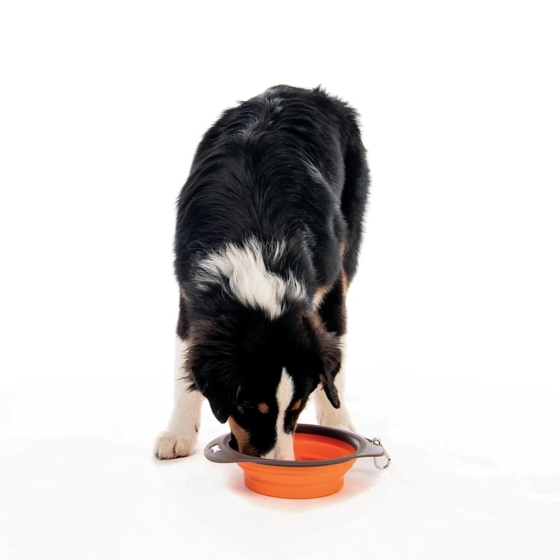 ON THE ROAD Foldable Bowl