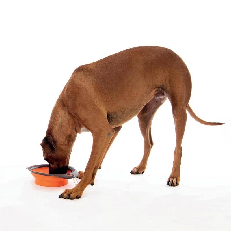 ON THE ROAD Foldable Bowl