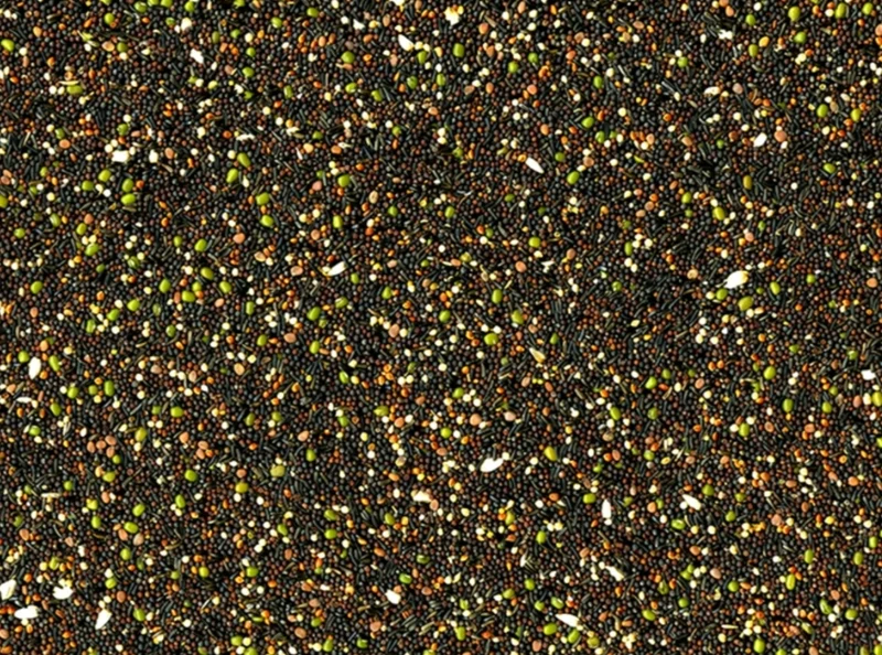 Semillas para germinar Original 1 kg - Vadigran