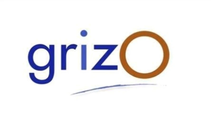 Semillas de Girasol Negras Micro 25kg - Grizo