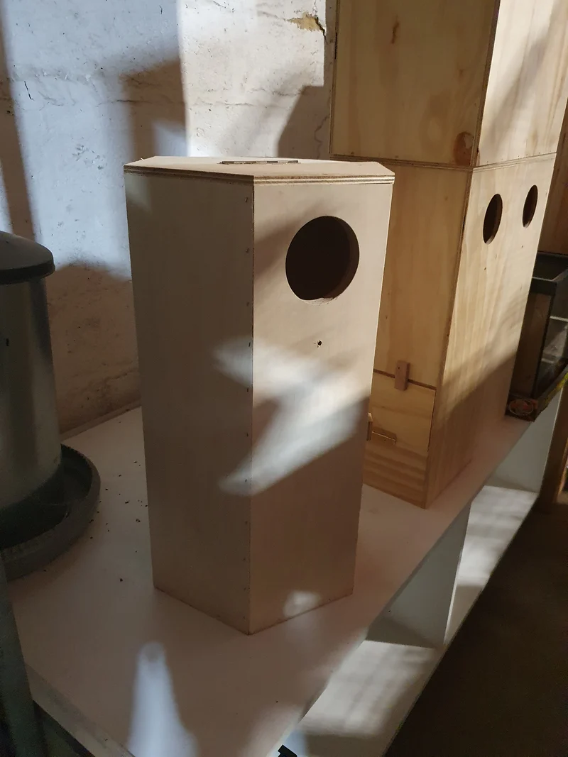 Bloque Nido Ovalado Grandes Periquitos 60x34x30