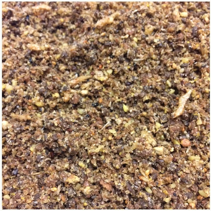 Rey Paté Universal 10kg - HobbyFirst