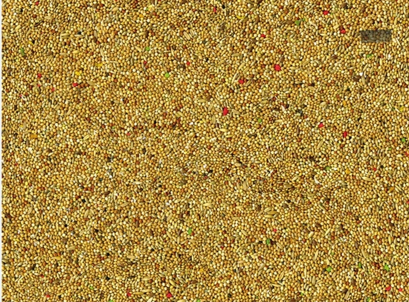 Vadigran Periquitos Color 20kg