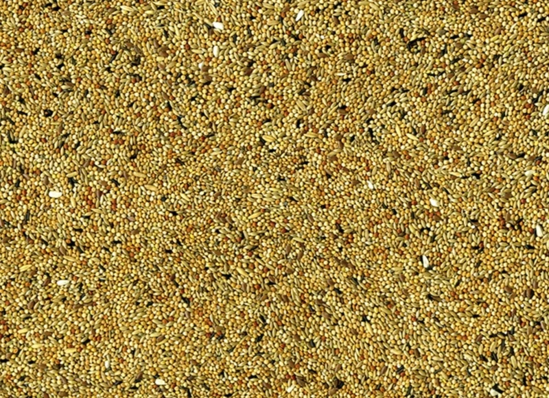 Periquitos Vadigran 4kg