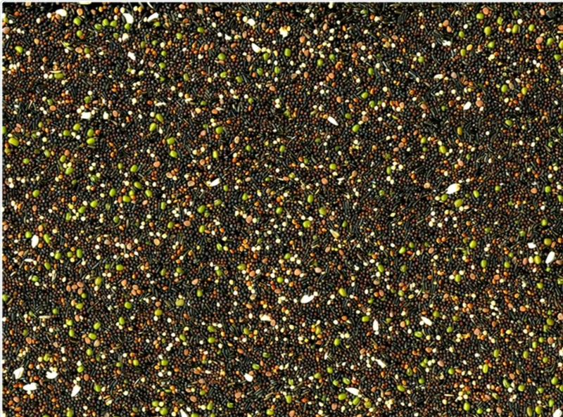 VADIGRAN GERMEN SEMILLA ORIGINAL 20 KG