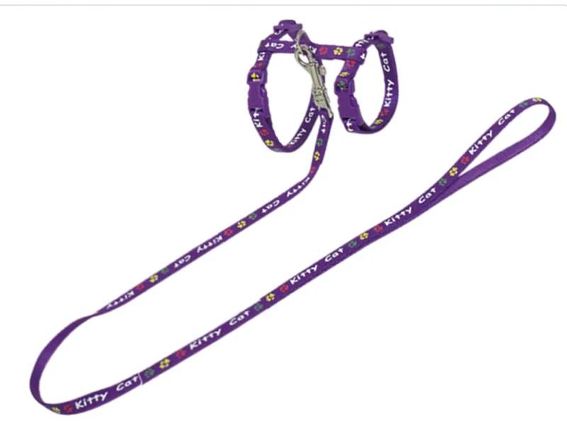 ARNES+CORREA KITTY CAT MORADO 15-22/30-32CM+120CM
