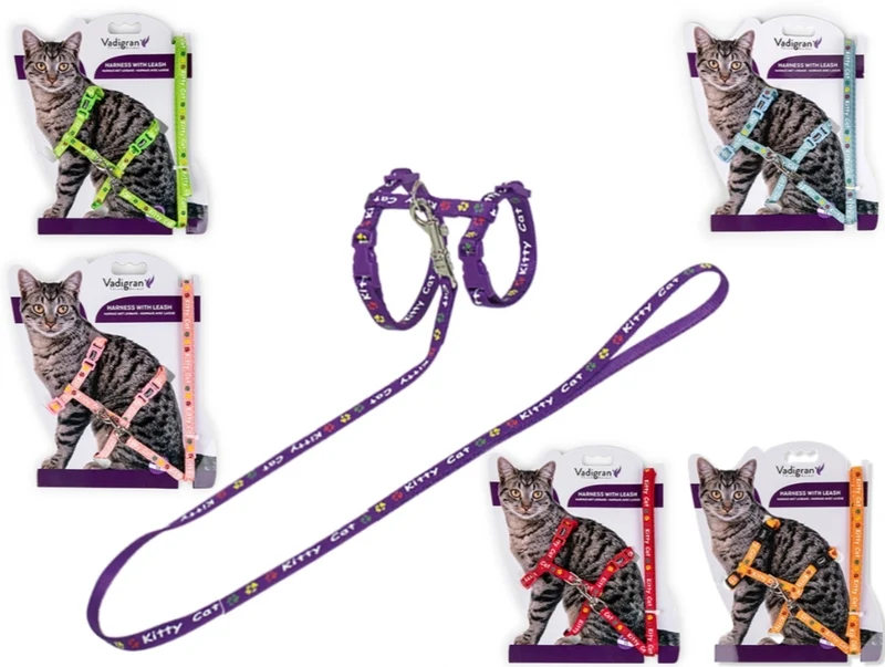 ARNES+CORREA KITTY CAT MORADO 15-22/30-32CM+120CM